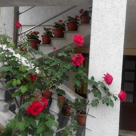 アパート Andreja オパティヤ