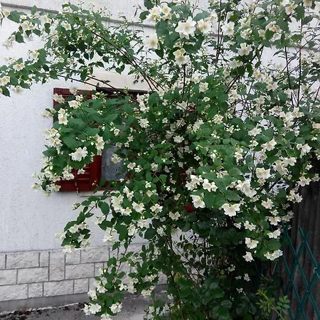 Apartamento Andreja Opatija