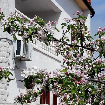 Apartment Andreja Opatija