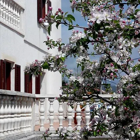 Apartment Andreja Opatija