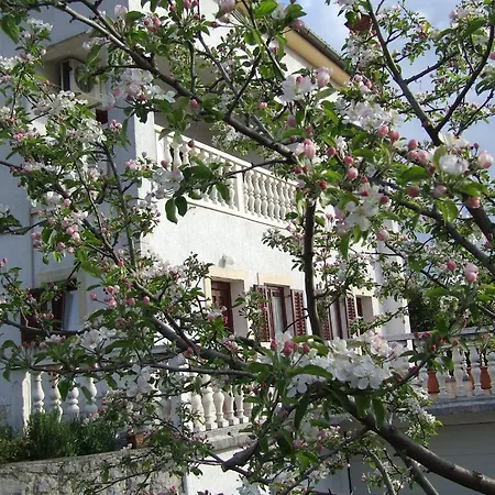 Andreja Lejlighed Opatija