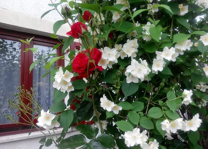 アパート Andreja