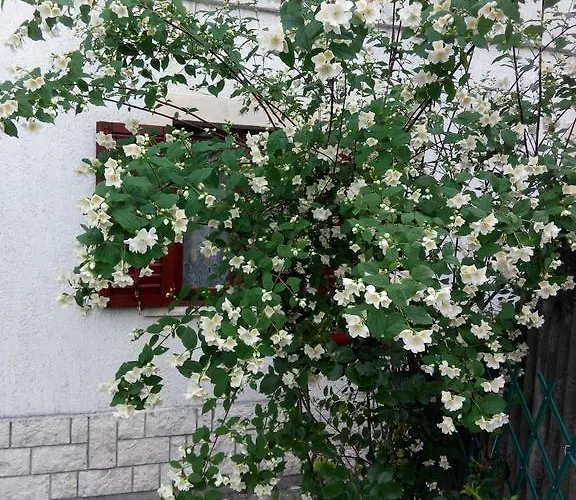 Apartamento Andreja Opatija