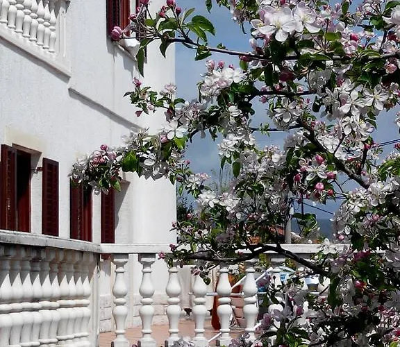 Apartamento Andreja Opatija