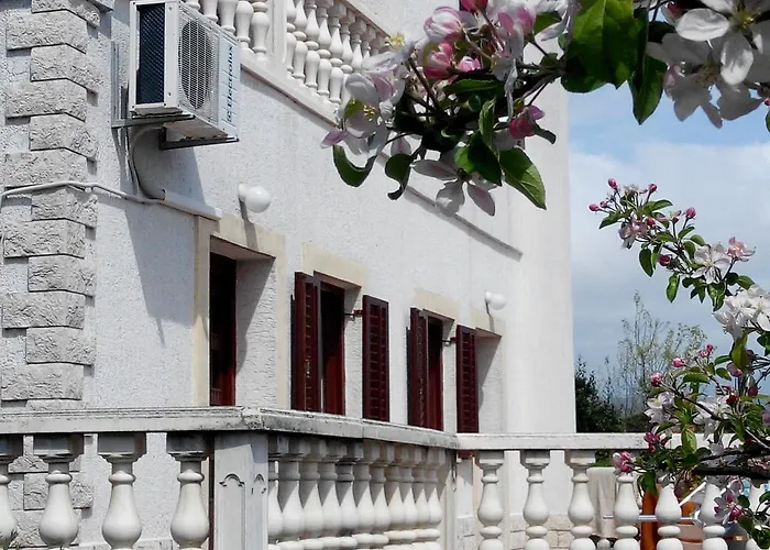 Andreja אופטיה