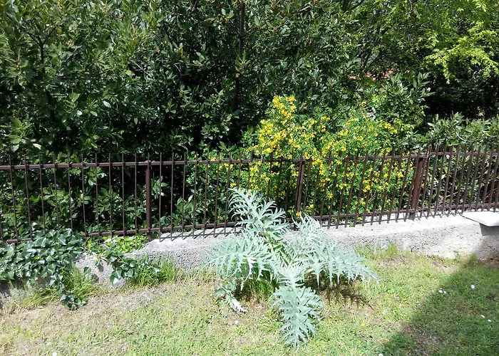 Andreja אופטיה