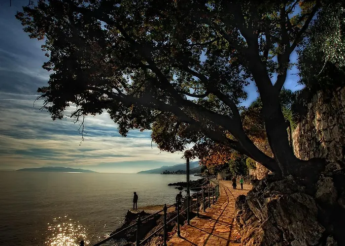 Andreja דירה אופטיה